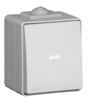 Poussoir à Bascule Lumineux - 250V~