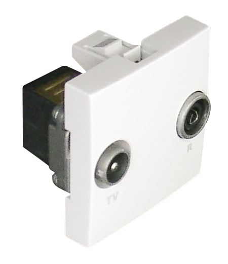 R - TV Socket (Terminal Type) - 2 Modules